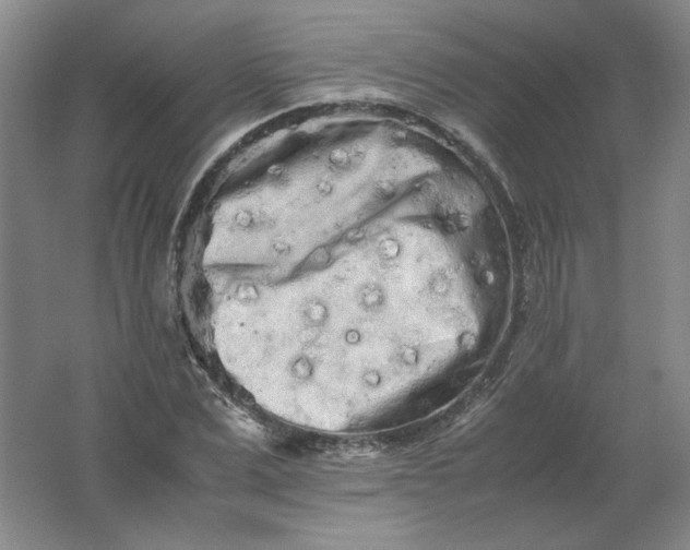 X0000062170975200512231621