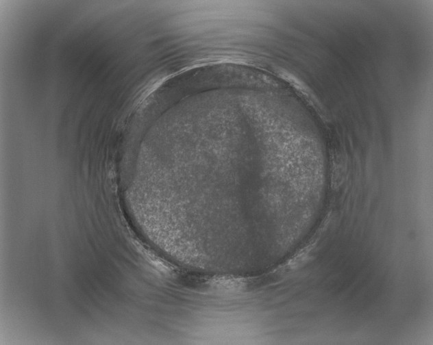 X0000062170977200512231621