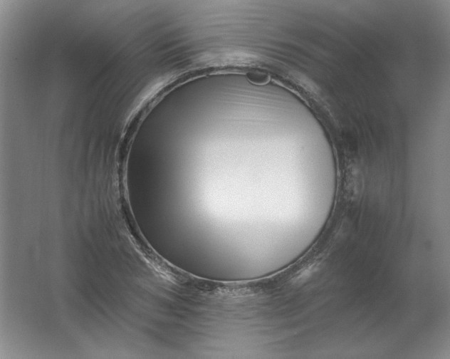 X0000062170978200512231621