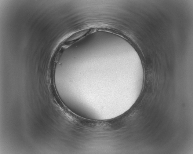 X0000062170979200512231621