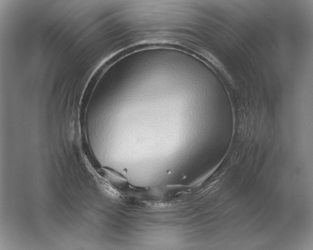 X0000062170980200512231621