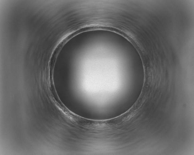 X0000062170982200512231621