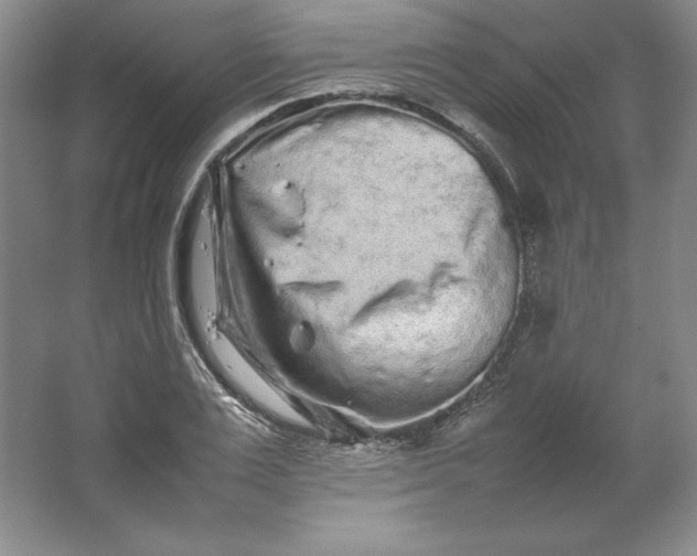 X0000062170983200512231621