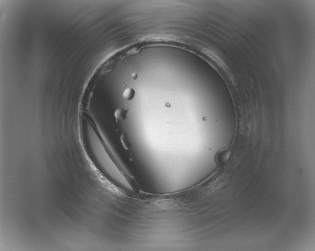 X0000062170984200512231621