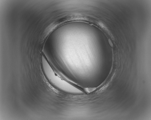 X0000062170985200512231621