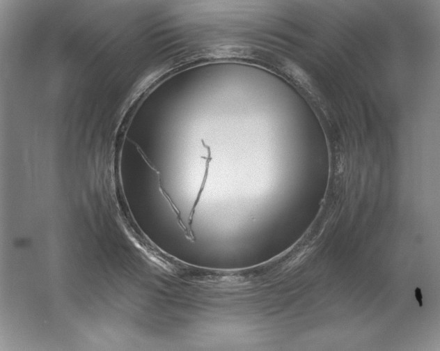 X0000062170986200512231621