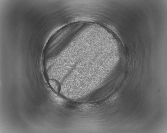 X0000062170987200512231621