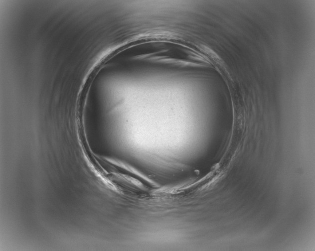 X0000062170989200512231621