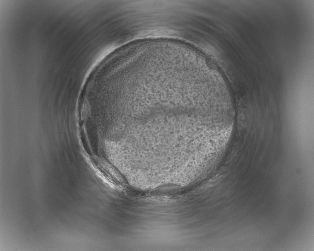 X0000062170990200512231621