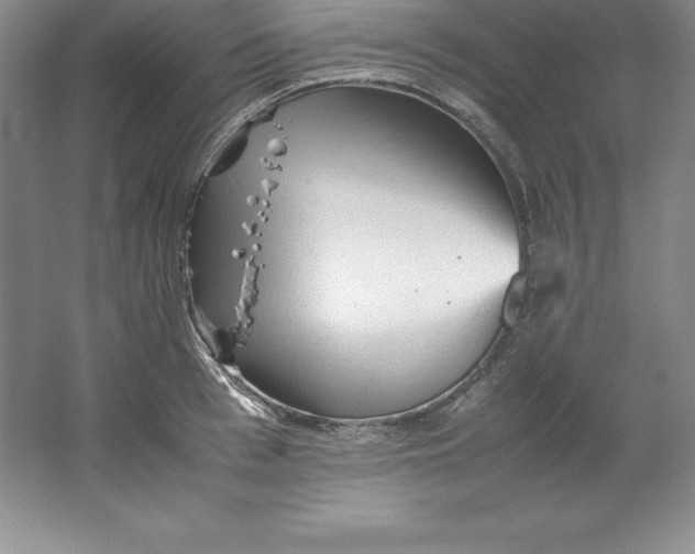 X0000062170993200512231621