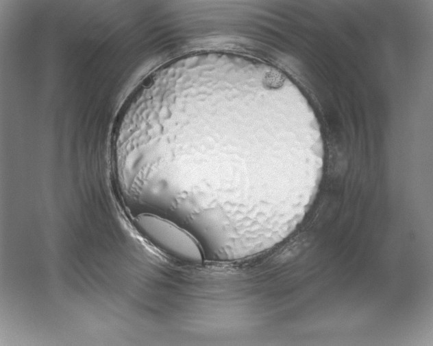 X0000062170994200512231621