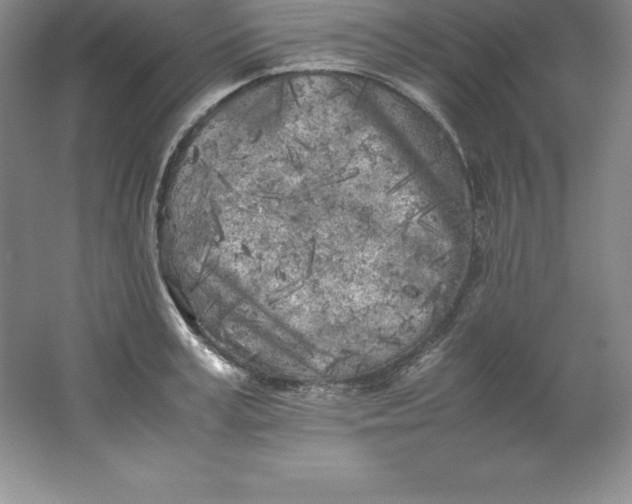 X0000062170995200512231621