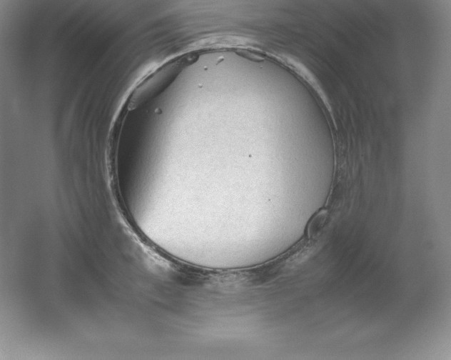 X0000062170997200512231621