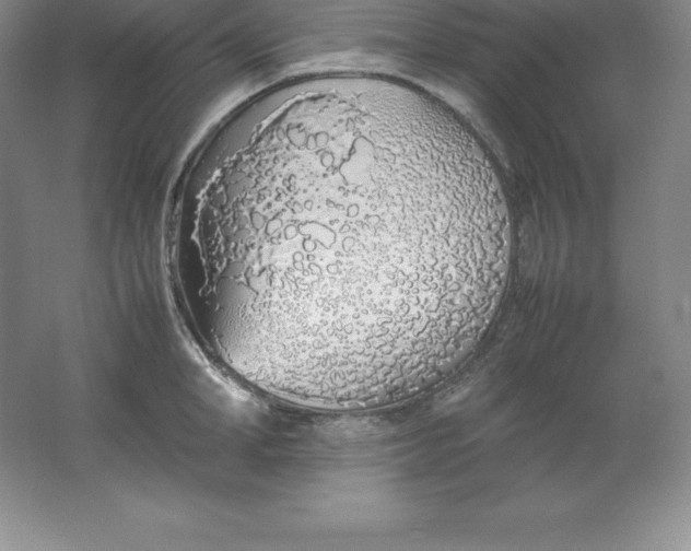 X0000062170998200512231621