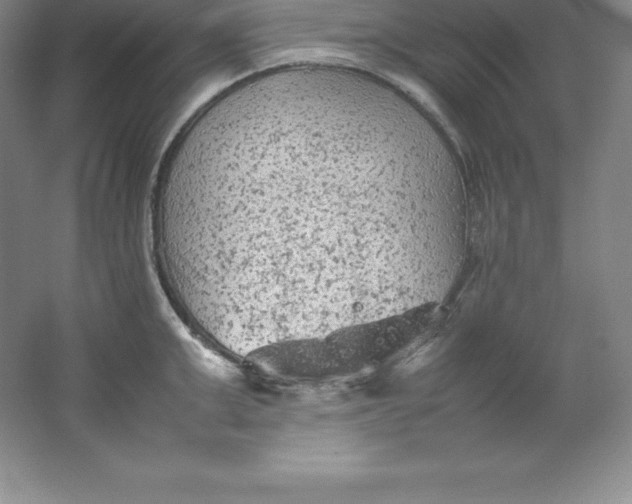 X0000062170999200512231621