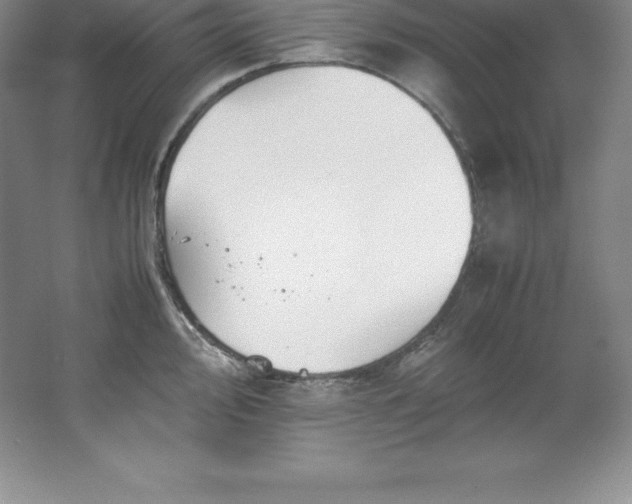 X0000062171000200512231621