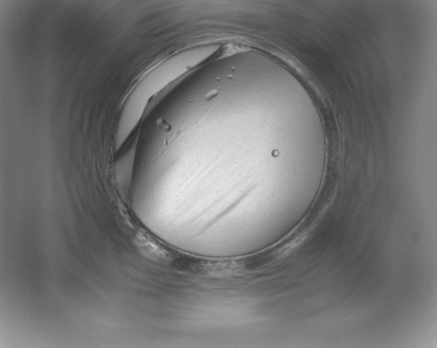 X0000062171001200512231621