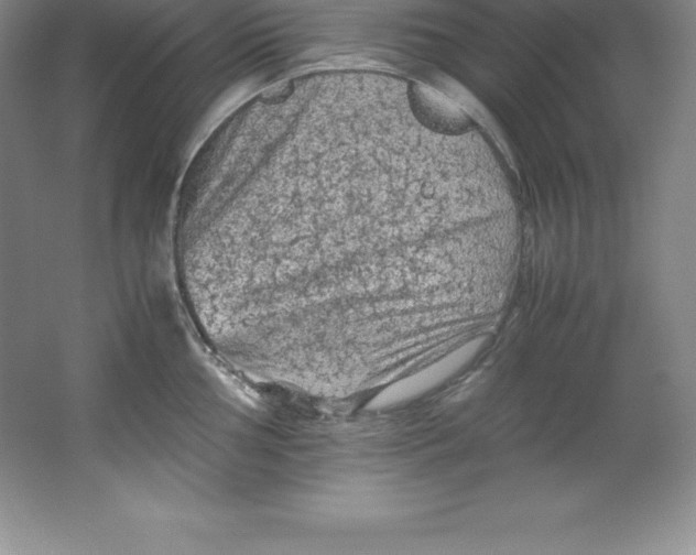 X0000062171002200512231621