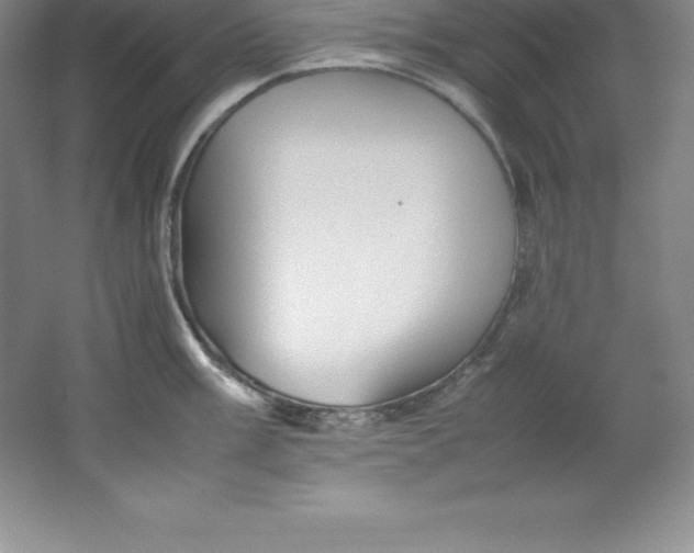 X0000062171003200512231621