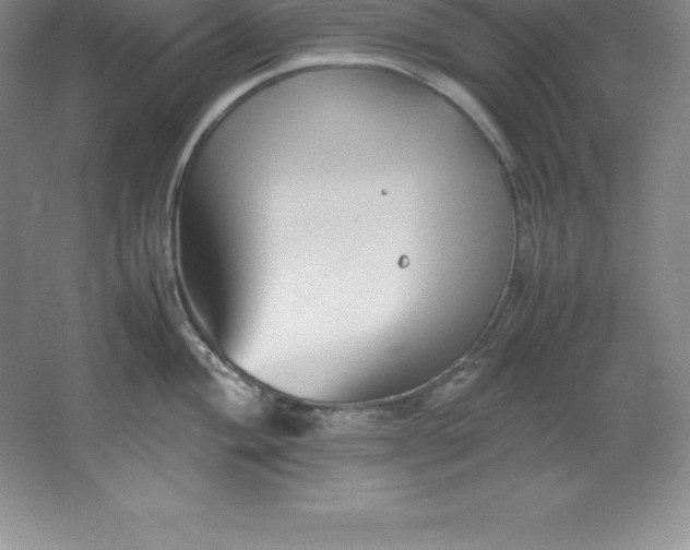 X0000062171004200512231621