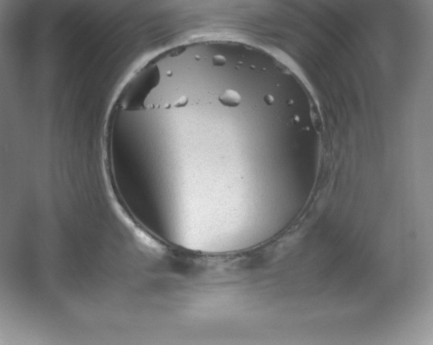 X0000062171005200512231621