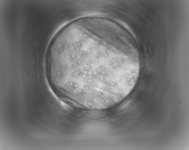 X0000062171007200512231621