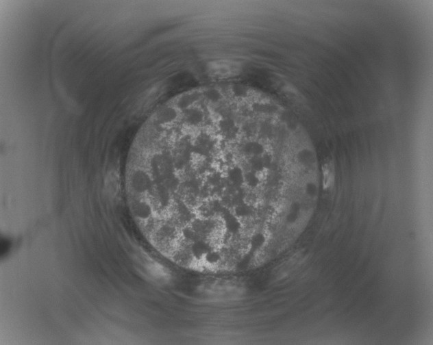 X0000062171011200512231620