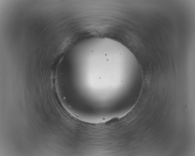 X0000062171012200512231620