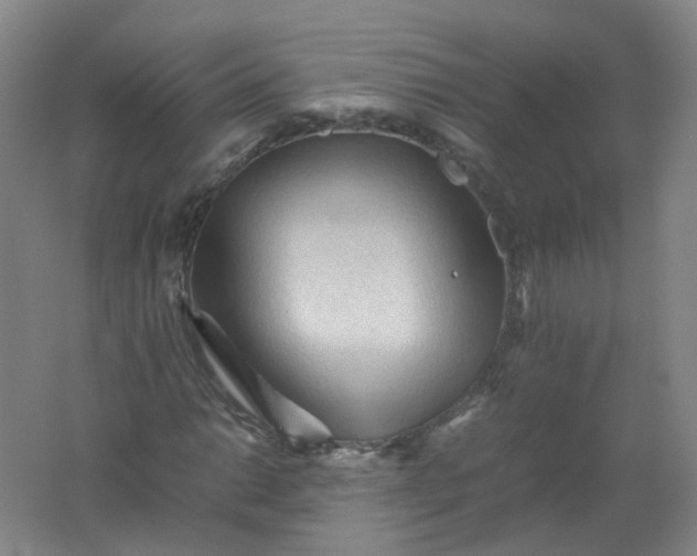 X0000062171014200512231620