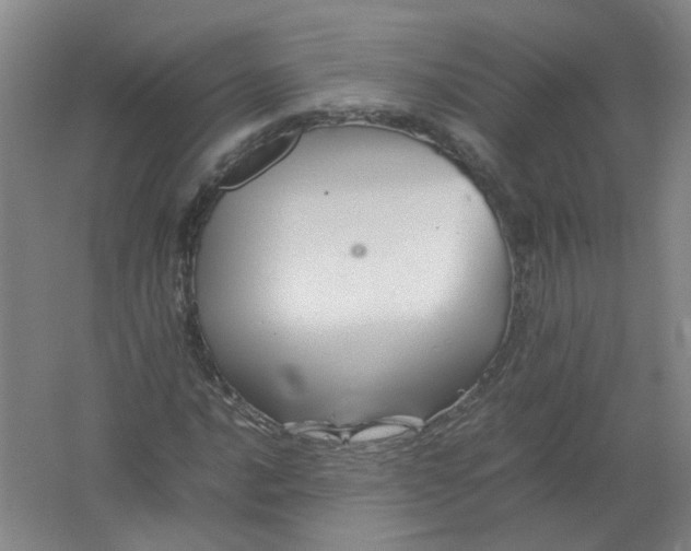 X0000062171016200512231620