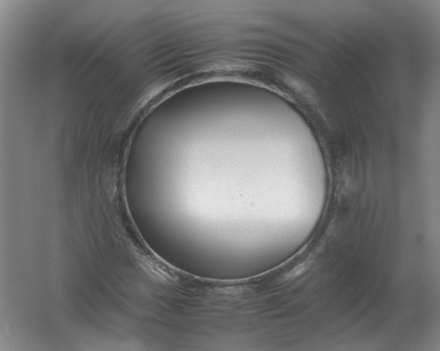 X0000062171017200512231620