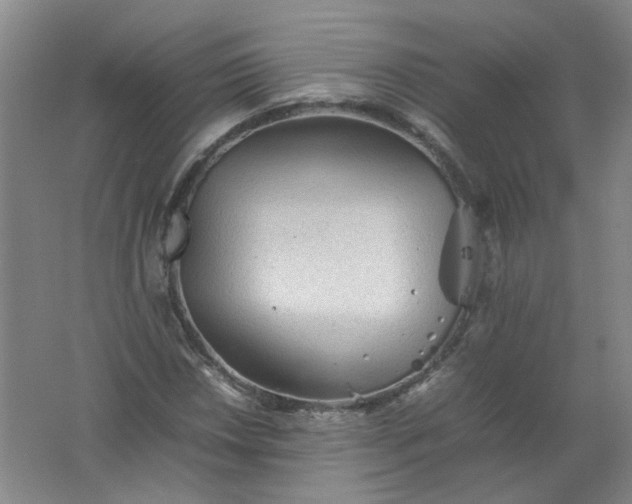 X0000062171018200512231620