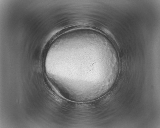 X0000062171019200512231620