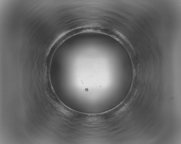 X0000062171021200512231620