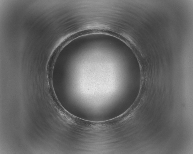 X0000062171022200512231620