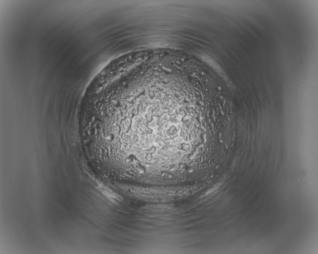 X0000062171023200512231620