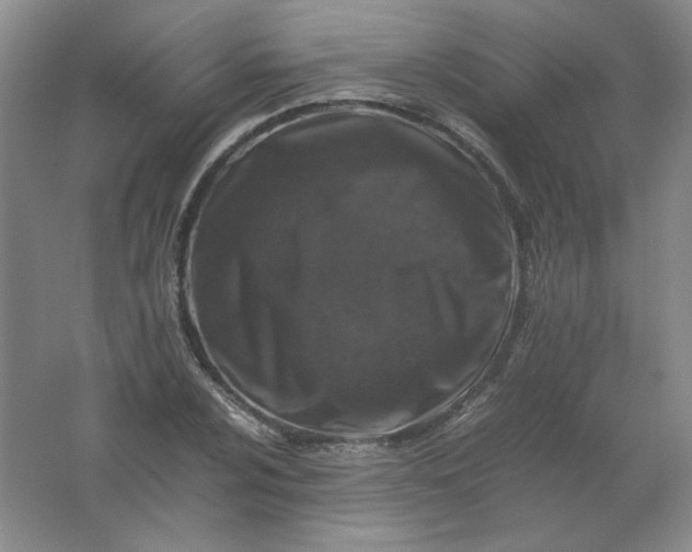 X0000062171024200512231620