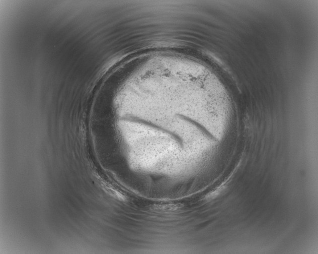 X0000062171025200512231620