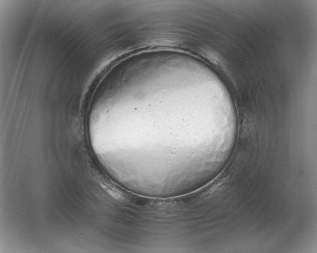 X0000062171027200512231620