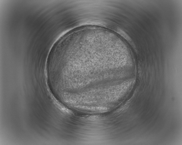 X0000062171028200512231620