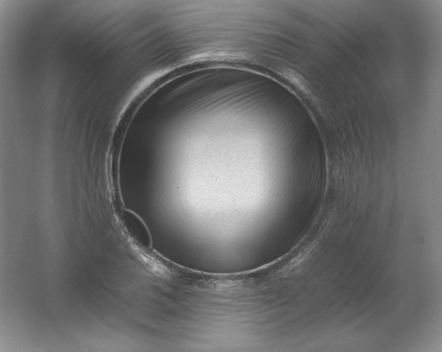 X0000062171030200512231620