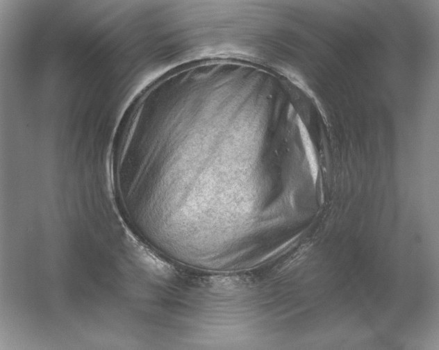 X0000062171032200512231620