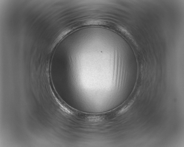 X0000062171033200512231620