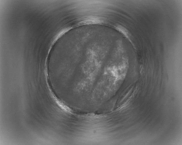 X0000062171034200512231620