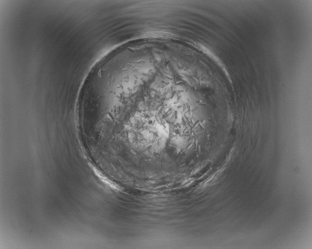 X0000062171037200512231620