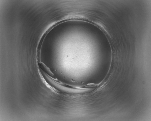 X0000062171038200512231620