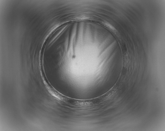 X0000062171039200512231620