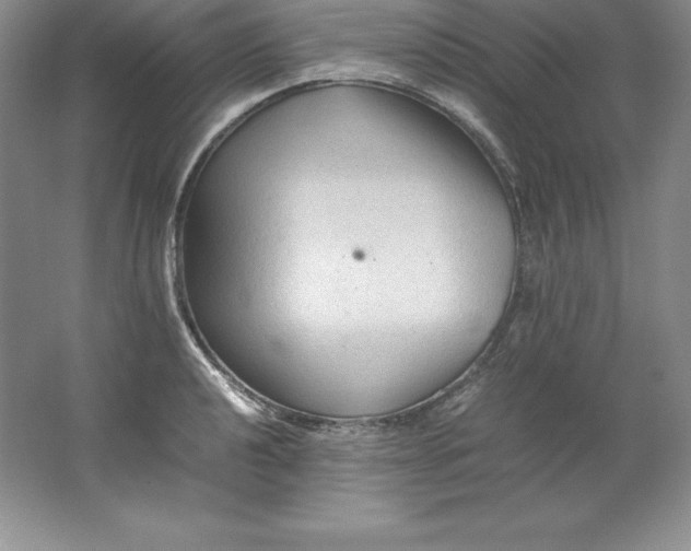 X0000062171040200512231620