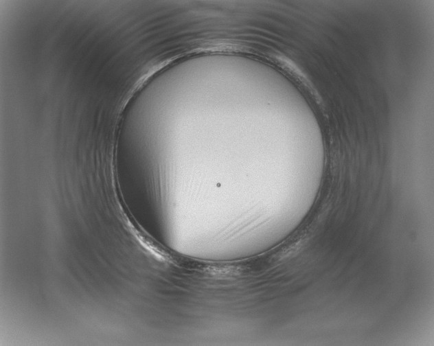 X0000062171041200512231621