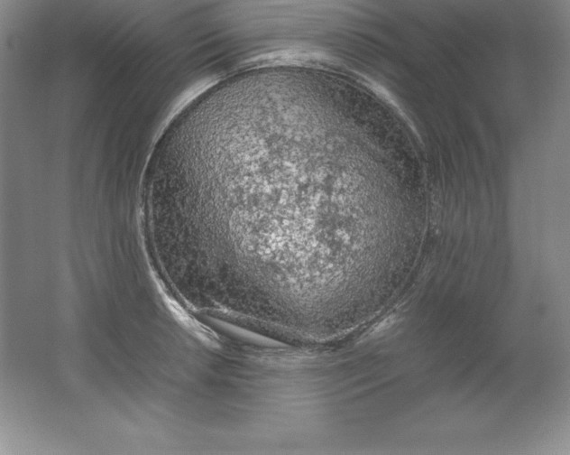 X0000062171042200512231621